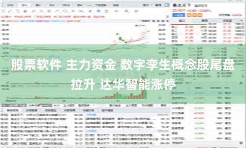 股票软件 主力资金 数字孪生概念股尾盘拉升 达华智能涨停