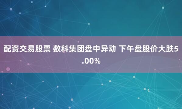 配资交易股票 数科集团盘中异动 下午盘股价大跌5.00%