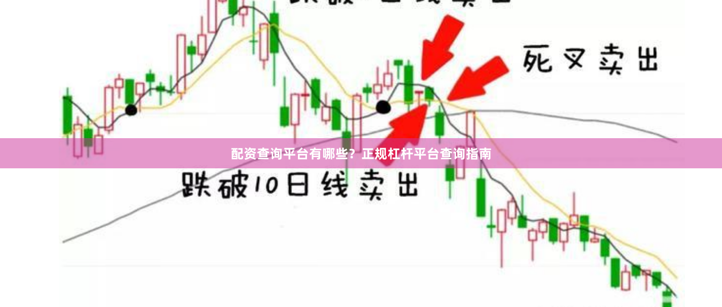 配资查询平台有哪些？正规杠杆平台查询指南